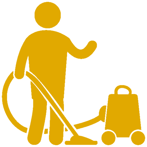 Professional Cleaning